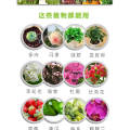 Home Gardening Flowers Controlled Release Fertilizer 3-4 Months Long Term Slow Release Fertilizer